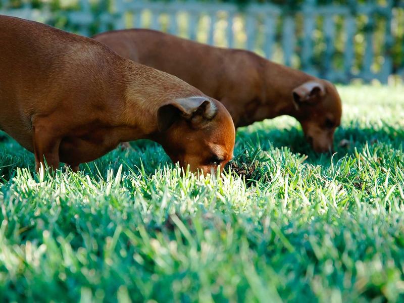 sudoku puzzle bundle screenshot 3