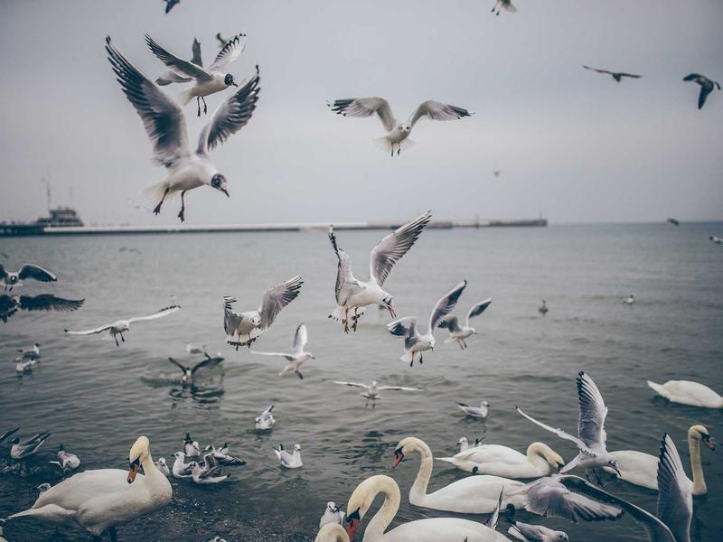 sudoku puzzle bundle screenshot 6